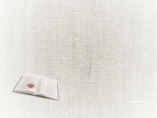 自学考试学生有学位证吗？  