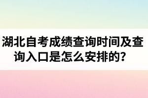 湖北省高等教育自学考试考生服务平台网址