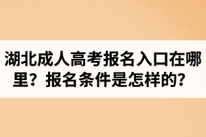 湖北成人高考报名入口在哪里？报名条件是怎样的？