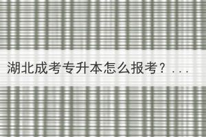 湖北成考专升本怎么报考？成考专升本一年有几次报名机会？