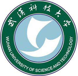 武汉科技大学